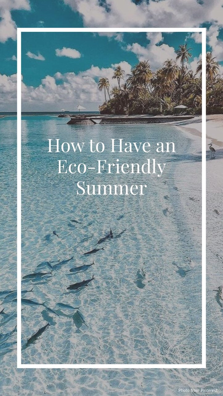 How to Have an Eco-Friendly Summer