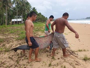 NEWS: Plastic-Eating Dolphin in the Philippines