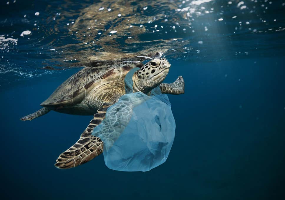 Can Plastics Go as Deep as the Mariana Trench?